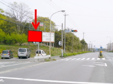 ���S�s�|�J���y��