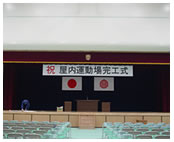 ���T�p�Ŕ�?