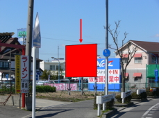 �L�c�s���{��1����